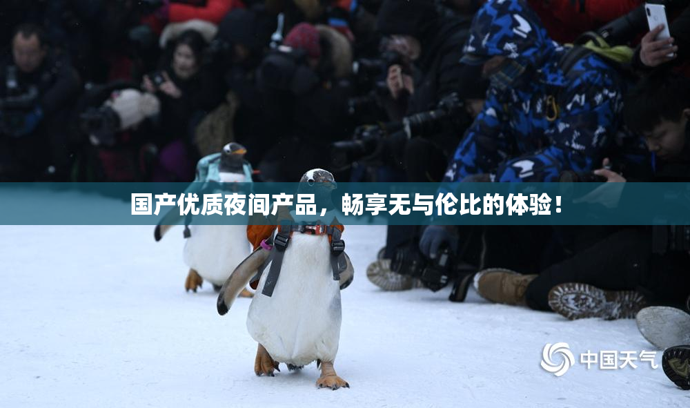 国产优质夜间产品，畅享无与伦比的体验！