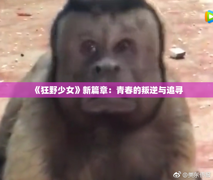 《狂野少女》新篇章：青春的叛逆与追寻