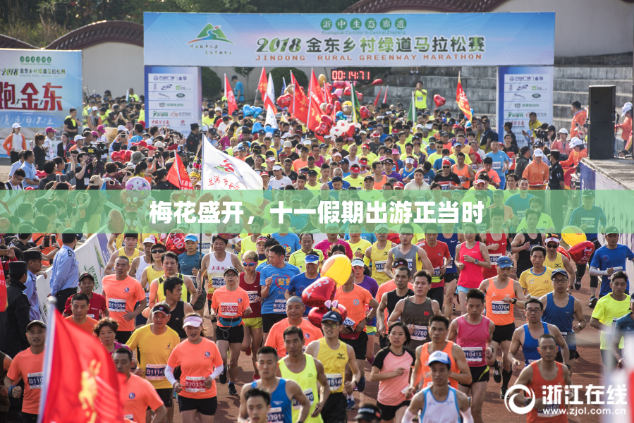 梅花盛开，十一假期出游正当时