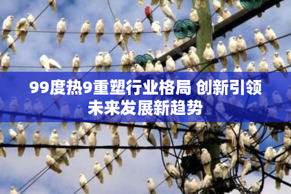 99度热9重塑行业格局 创新引领未来发展新趋势
