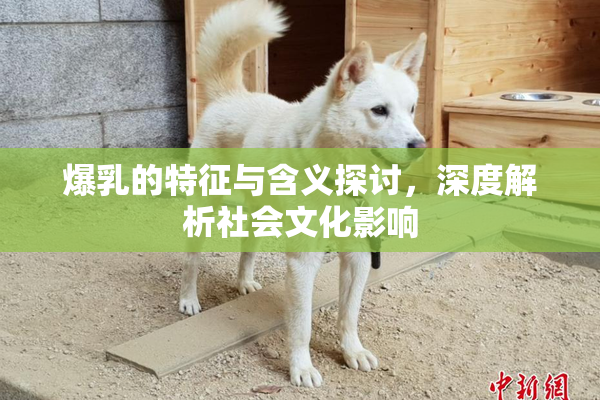 爆乳的特征与含义探讨，深度解析社会文化影响