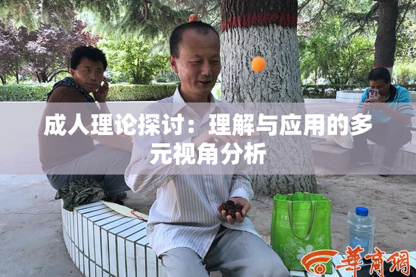 成人理论探讨：理解与应用的多元视角分析