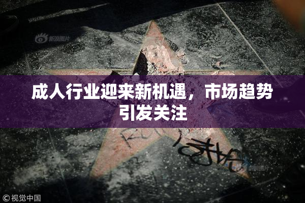 成人行业迎来新机遇，市场趋势引发关注