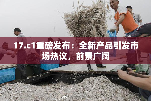 17.c1重磅发布：全新产品引发市场热议，前景广阔