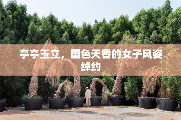亭亭玉立，国色天香的女子风姿绰约