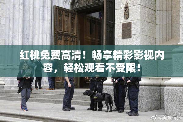 红桃免费高清！畅享精彩影视内容，轻松观看不受限！