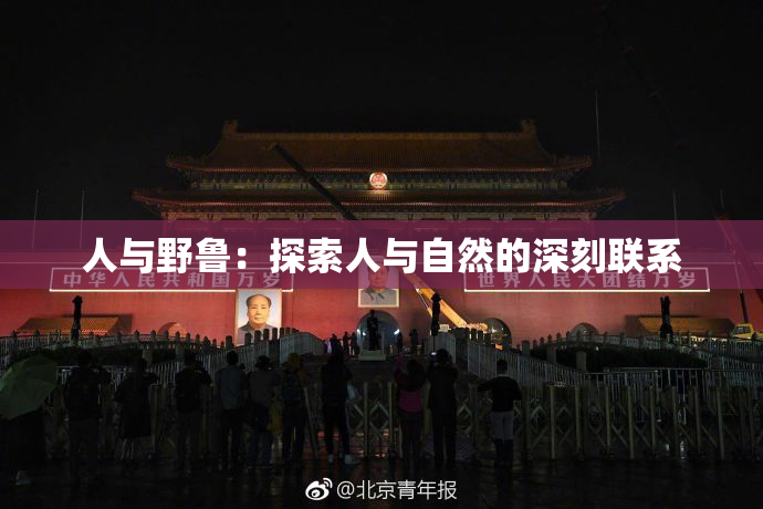 人与野鲁：探索人与自然的深刻联系