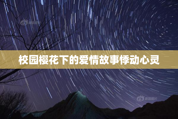 校园樱花下的爱情故事悸动心灵