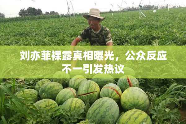 刘亦菲裸露真相曝光，公众反应不一引发热议