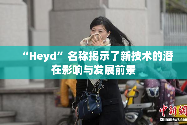 “Heyd”名称揭示了新技术的潜在影响与发展前景