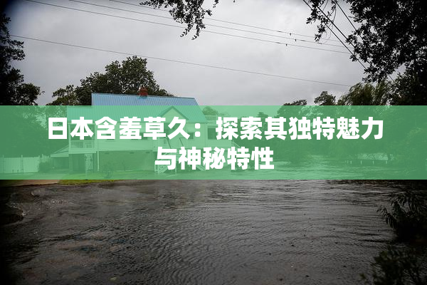 日本含羞草久：探索其独特魅力与神秘特性