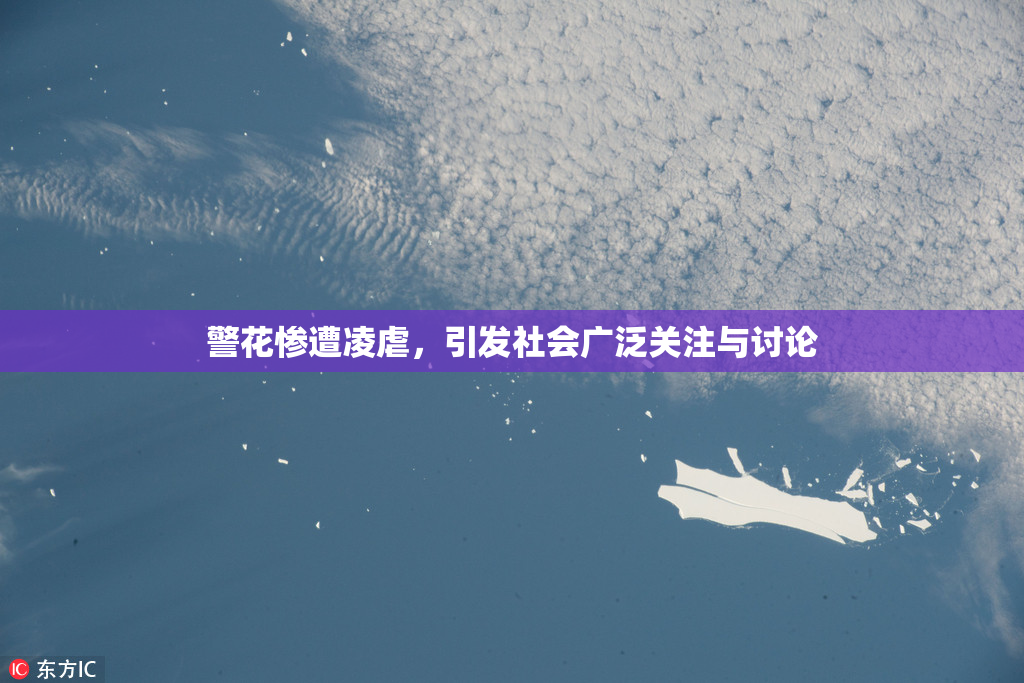 警花惨遭凌虐，引发社会广泛关注与讨论