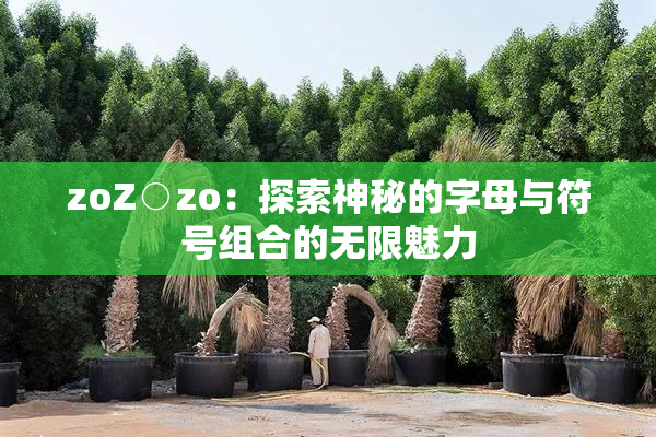 zoZ○zo：探索神秘的字母与符号组合的无限魅力