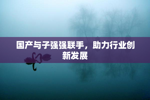 国产与子强强联手，助力行业创新发展