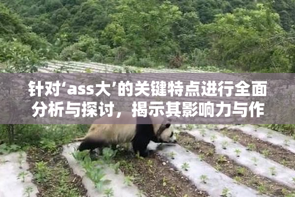 针对‘ass大’的关键特点进行全面分析与探讨，揭示其影响力与作用。