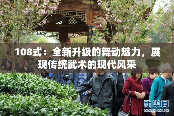 108式：全新升级的舞动魅力，展现传统武术的现代风采