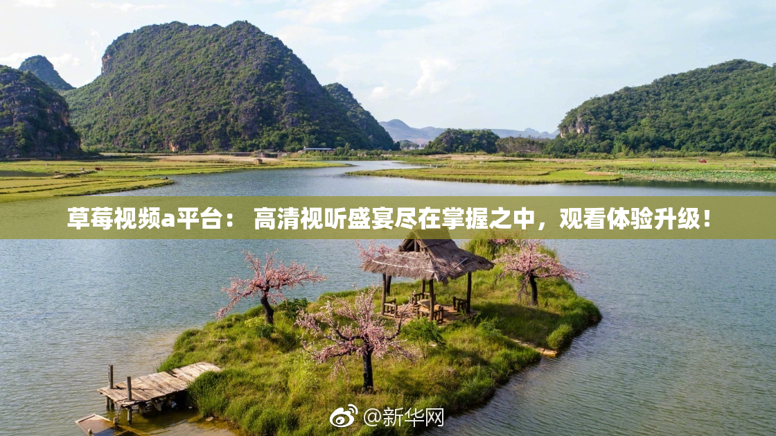 草莓视频a平台： 高清视听盛宴尽在掌握之中，观看体验升级！
