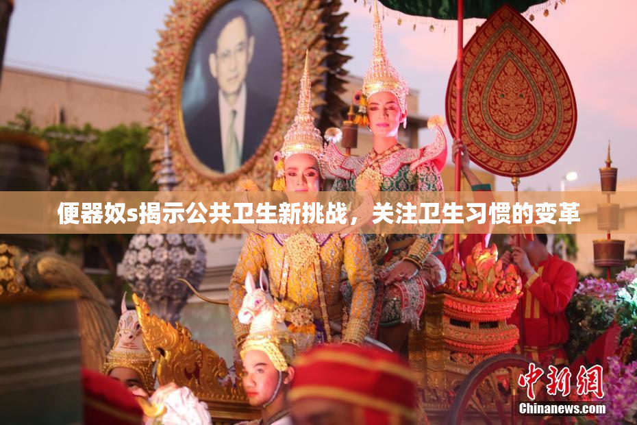 便器奴s揭示公共卫生新挑战，关注卫生习惯的变革