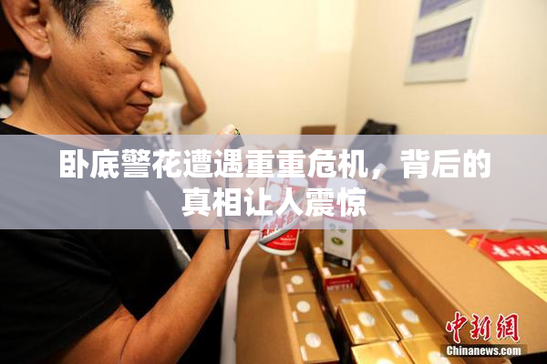 卧底警花遭遇重重危机，背后的真相让人震惊