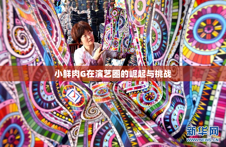 小鲜肉G在演艺圈的崛起与挑战
