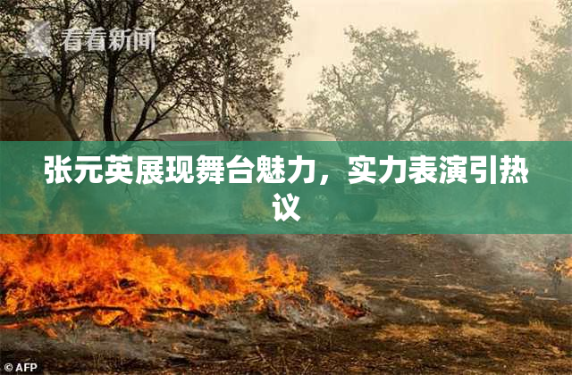 张元英展现舞台魅力，实力表演引热议
