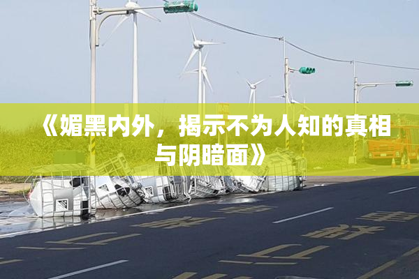《媚黑内外，揭示不为人知的真相与阴暗面》