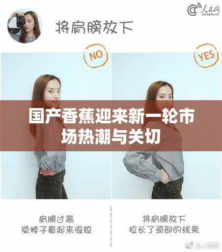 国产香蕉迎来新一轮市场热潮与关切