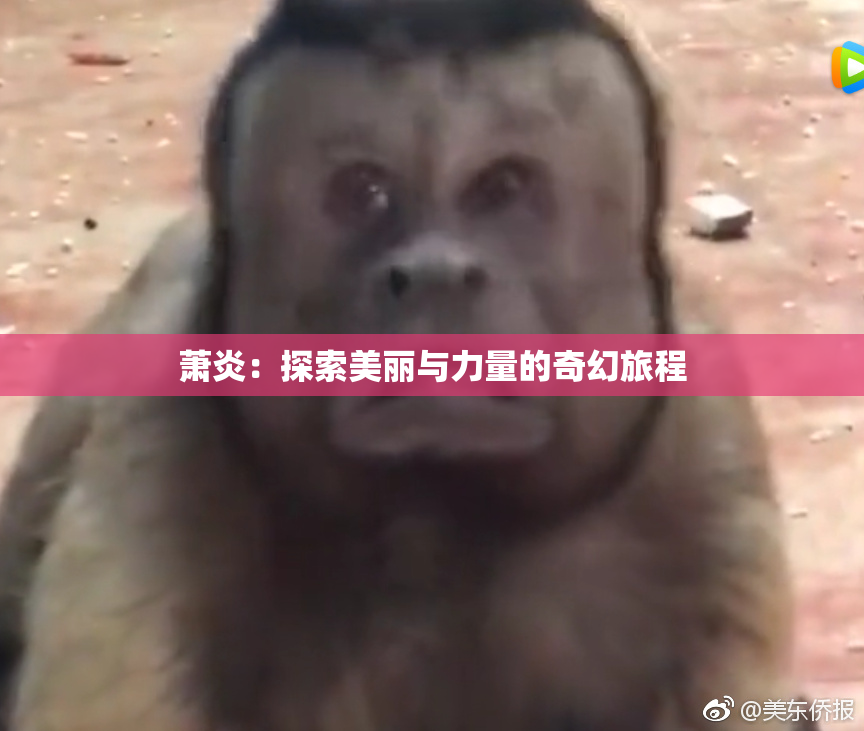 萧炎：探索美丽与力量的奇幻旅程