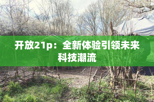 开放21p：全新体验引领未来科技潮流