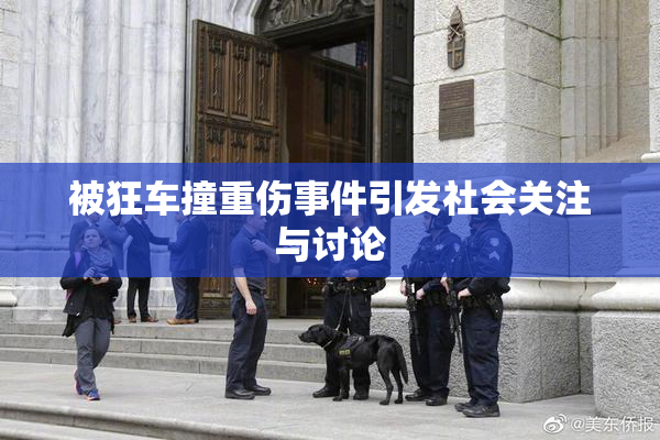 被狂车撞重伤事件引发社会关注与讨论