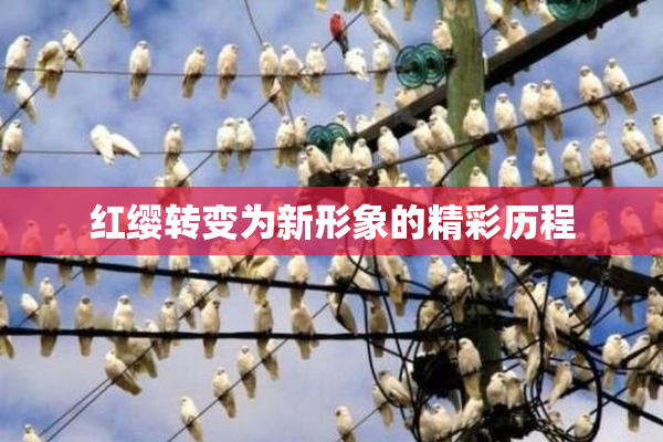 红缨转变为新形象的精彩历程