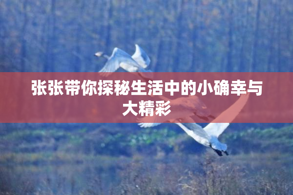 张张带你探秘生活中的小确幸与大精彩
