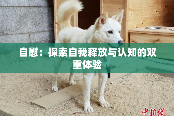 自慰：探索自我释放与认知的双重体验