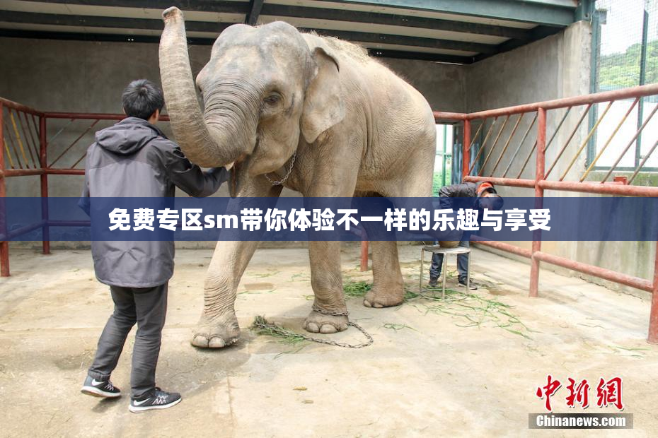 免费专区sm带你体验不一样的乐趣与享受