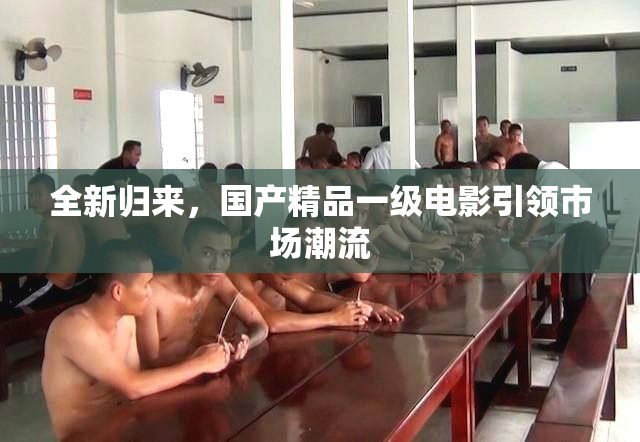 全新归来，国产精品一级电影引领市场潮流