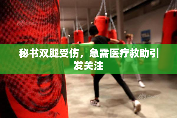 秘书双腿受伤，急需医疗救助引发关注