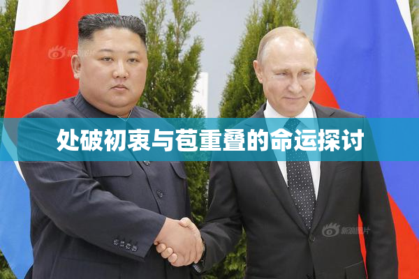 处破初衷与苞重叠的命运探讨