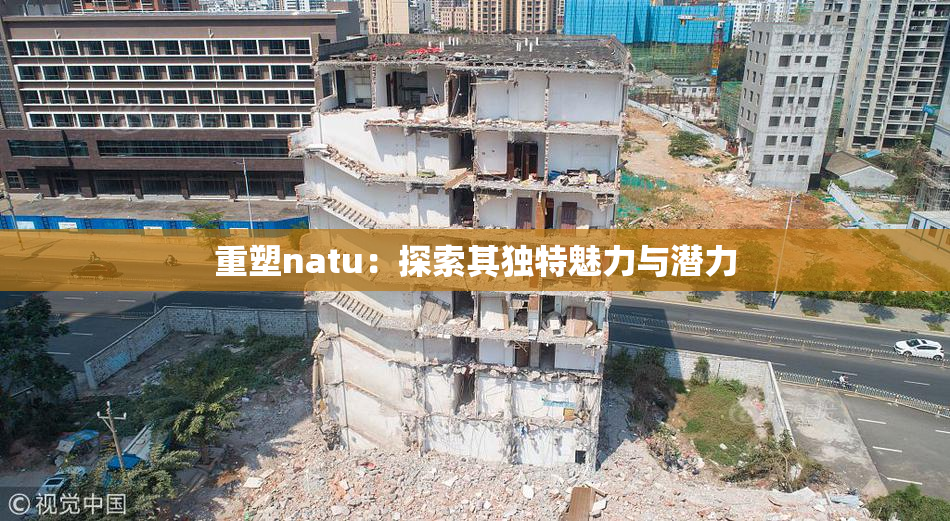 重塑natu：探索其独特魅力与潜力