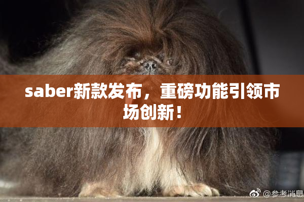 saber新款发布，重磅功能引领市场创新！