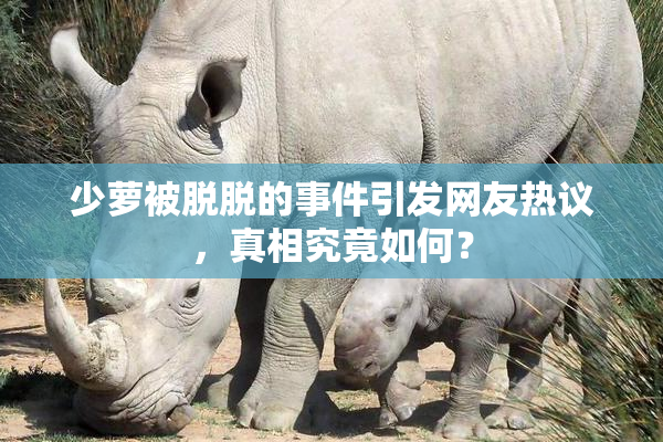 少萝被脱脱的事件引发网友热议，真相究竟如何？