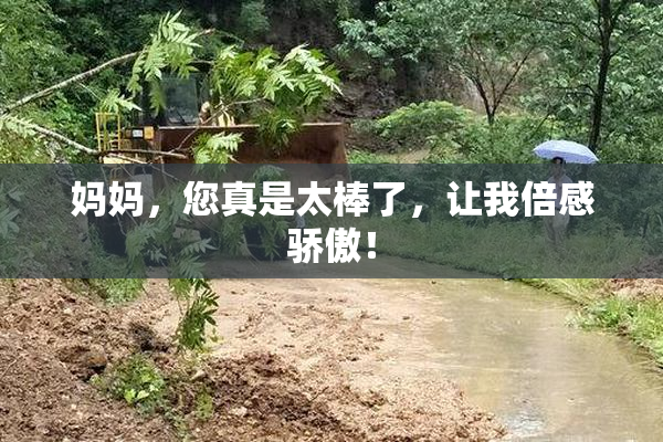 妈妈，您真是太棒了，让我倍感骄傲！