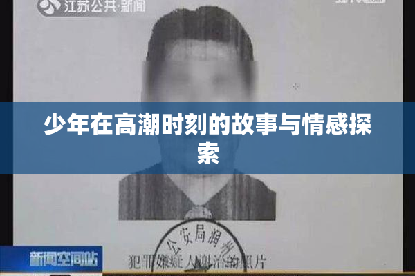 少年在高潮时刻的故事与情感探索
