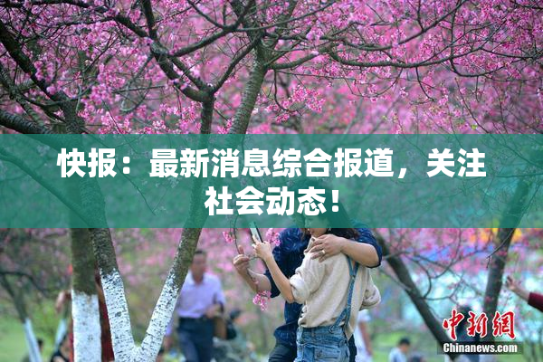 快报：最新消息综合报道，关注社会动态！