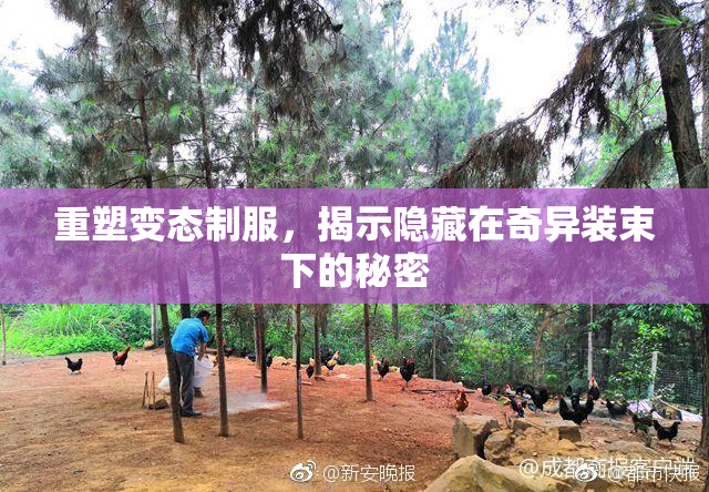 重塑变态制服，揭示隐藏在奇异装束下的秘密