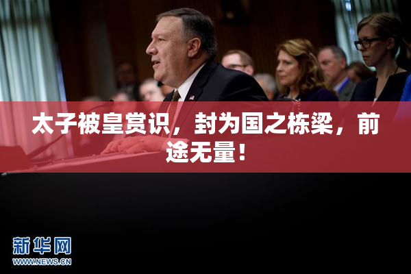 太子被皇赏识，封为国之栋梁，前途无量！