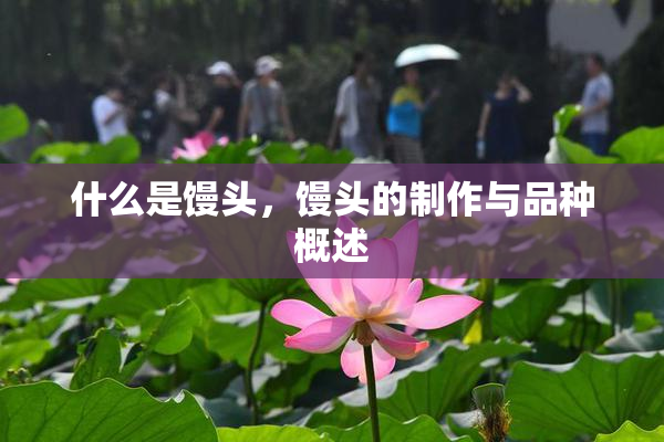什么是馒头，馒头的制作与品种概述