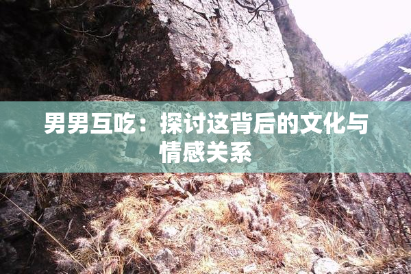 男男互吃：探讨这背后的文化与情感关系