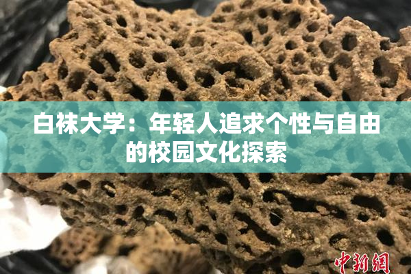 白袜大学：年轻人追求个性与自由的校园文化探索