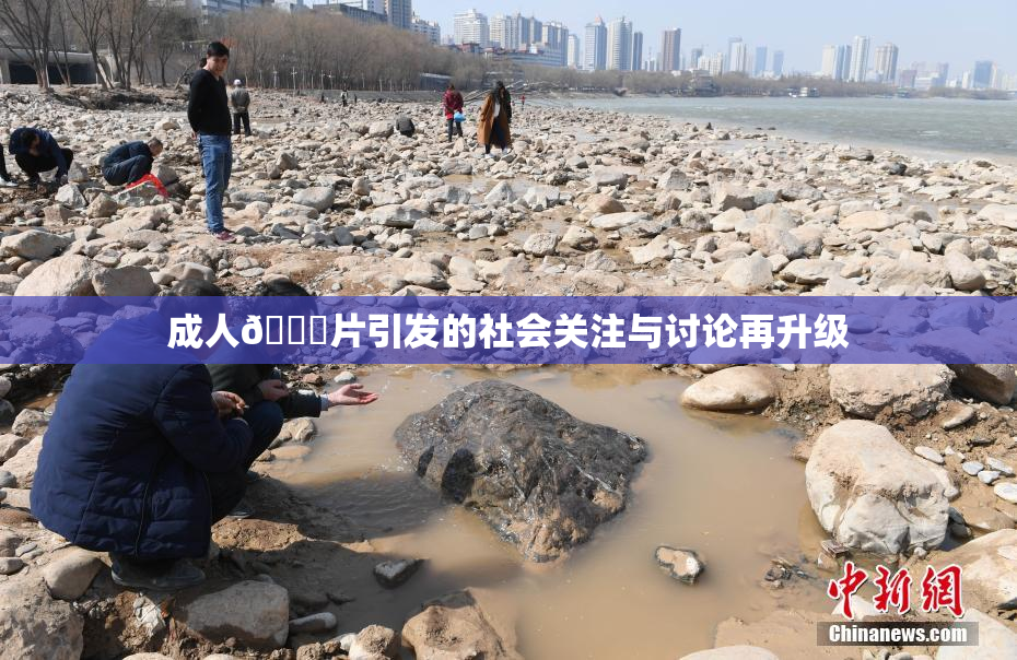 成人🔞片引发的社会关注与讨论再升级