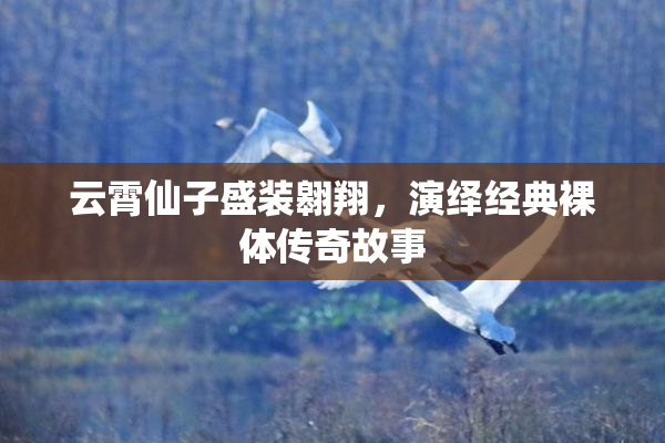 云霄仙子盛装翱翔，演绎经典裸体传奇故事